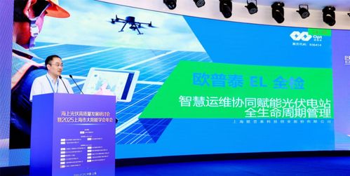 海上光伏高質(zhì)量發(fā)展研討會暨2025上海市太陽能學會年會順利召開 科技推廣與應用服務的新篇章