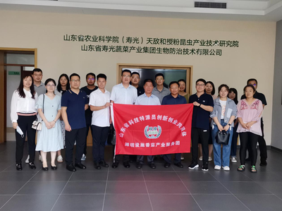 科技賦能 綠色未來(lái)——濰坊設(shè)施番茄產(chǎn)業(yè)服務(wù)團(tuán)推廣天敵生防技術(shù)紀(jì)實(shí)